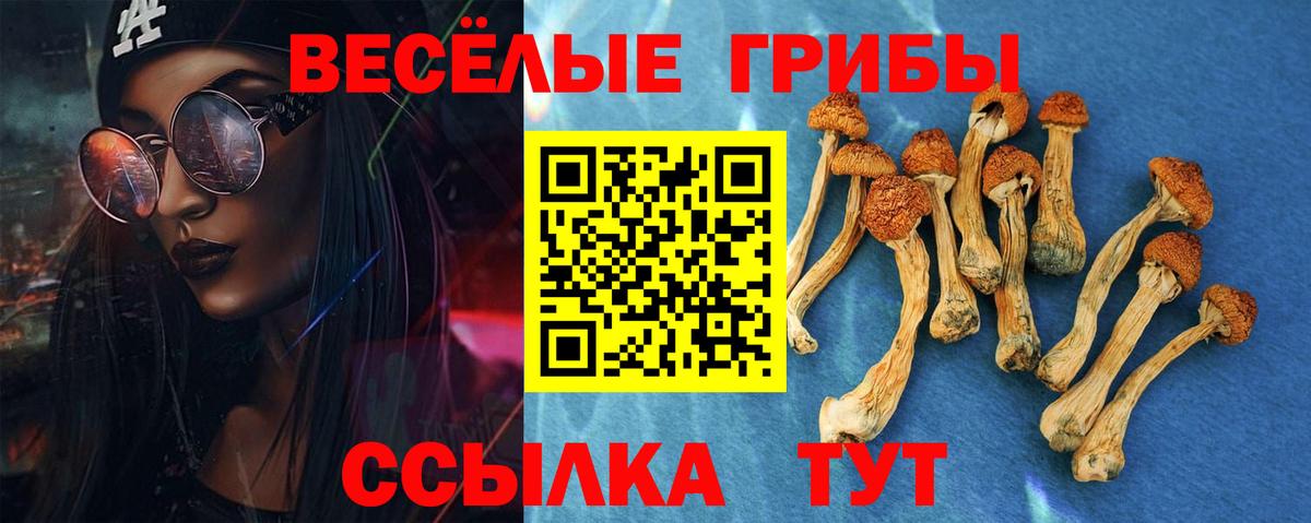 Бийск  Псилоцибиновые грибы Psilocybe  Псилоцибиновые грибы GOLDEN TEACHER  Вход с VPN 